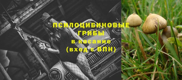 соль ск Алагир