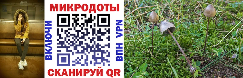 мега ссылки как найти закладки Апшеронск Галлюциногенные грибы MAGIC MUSHROOMS