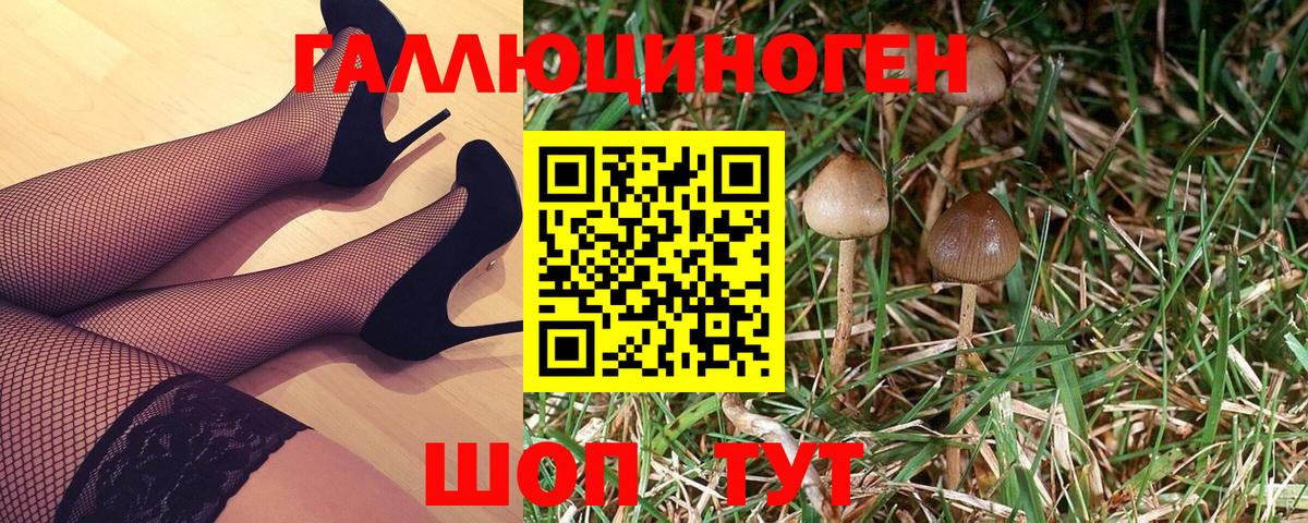 Галлюциногенные грибы Psilocybine cubensis  Вход с VPN  Апшеронск  Псилоцибиновые грибы прущие грибы 