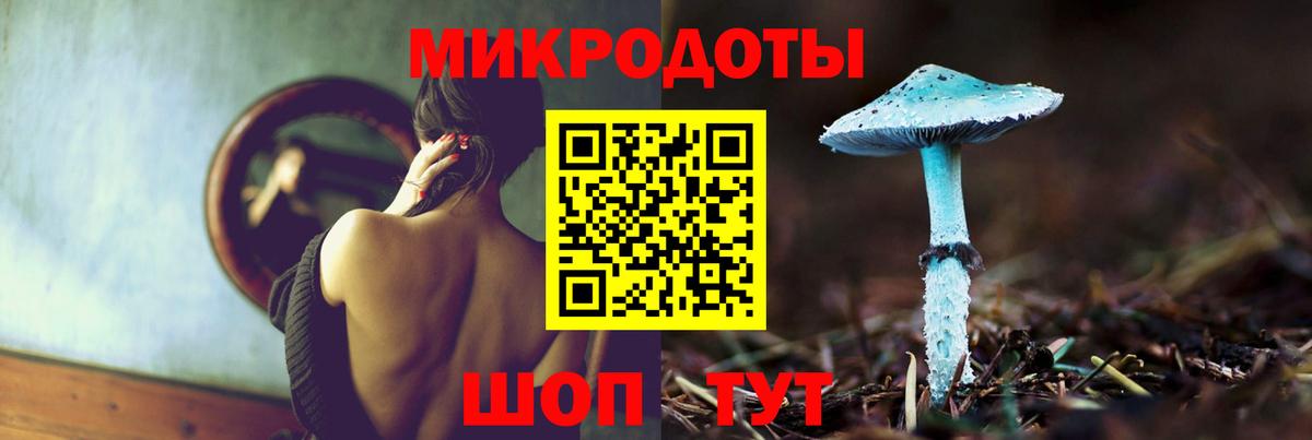 Псилоцибиновые грибы Psilocybe Апшеронск